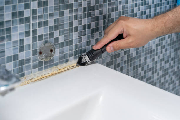 Best Bathroom Mold Remediation in Barnum Island, NY