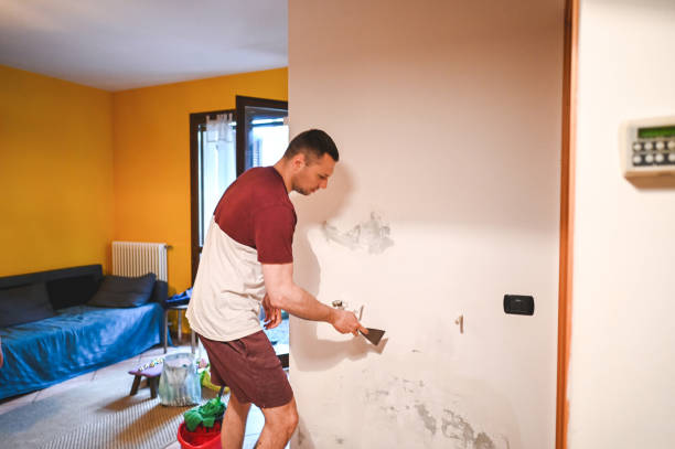 Best Industrial Mold Remediation in Barnum Island, NY